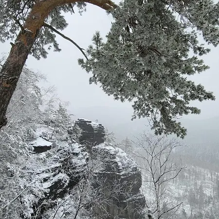 Falkenstein Διαμέρισμα *